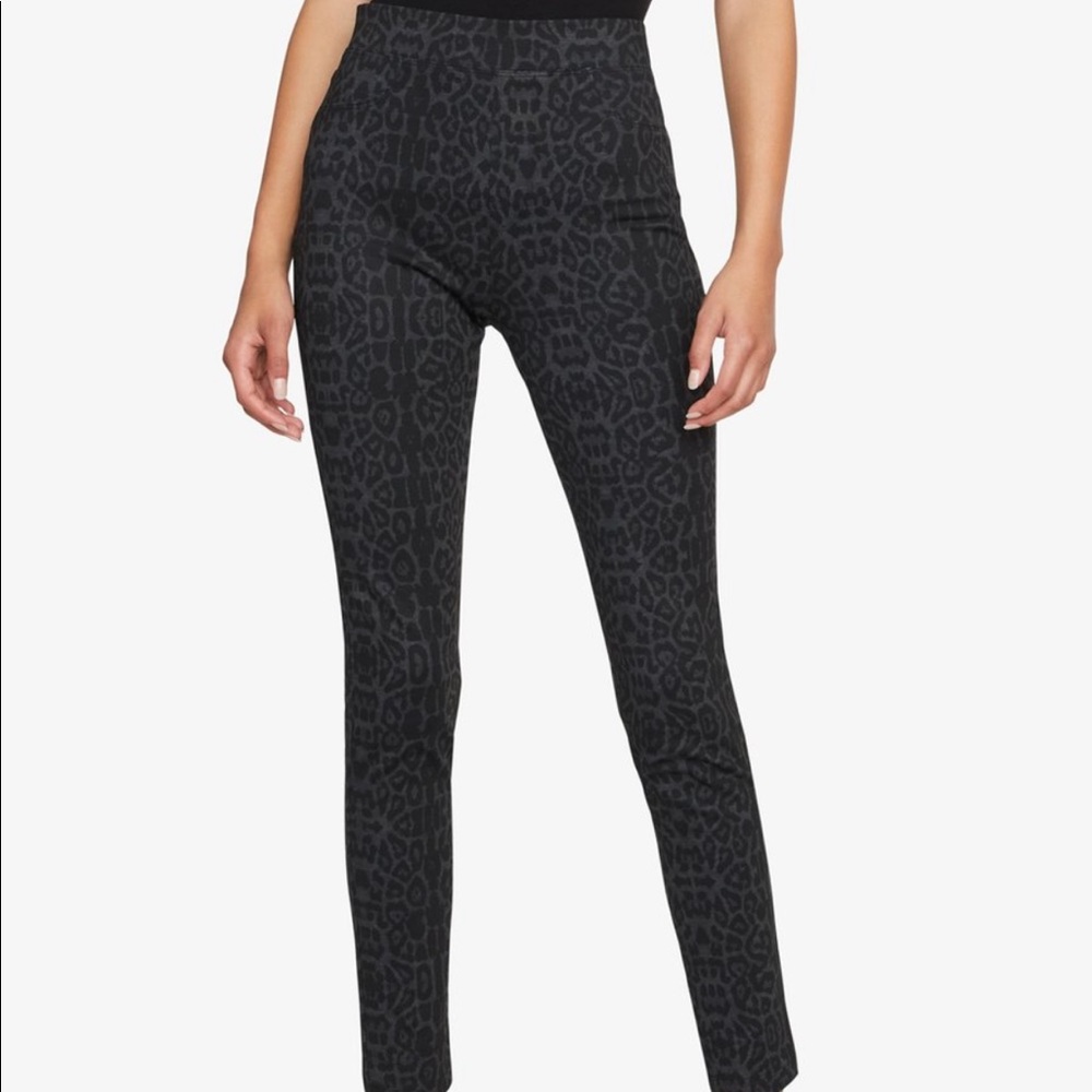 Sanctuary Runway legging in Panther